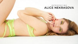 Alice Nekrasova  from SUPERBEMODELS