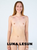 Polaroids - Luna Lesun