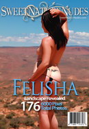 Felisha in Landscape Revealed gallery from SWEETNATURENUDES by David Weisenbarger
