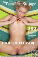 Lili in Tools Of Pleasure gallery from TEENPORNSTORAGE by Harmut