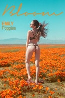 Emily Bloom in Poppies gallery from THEEMILYBLOOM