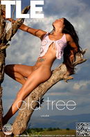 Laura in Old Tree gallery from THELIFEEROTIC by Oliver Nation