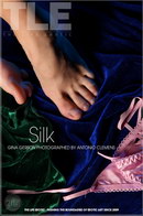 Gina Gerson in Silk gallery from THELIFEEROTIC by Antonio Clemens