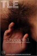 Chela & Tulia in Chocolate 1 gallery from THELIFEEROTIC by Alana H
