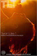 Swan Lake 1