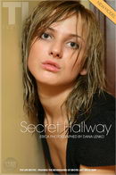 Erica in Secret Hallway gallery from THELIFEEROTIC by Dana Lenko