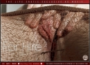 Bella H in For Hire 2 video from THELIFEEROTIC by Higinio Domingo
