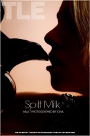 Spilt Milk