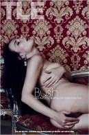 Nia in Bush gallery from THELIFEEROTIC by Stan Macias