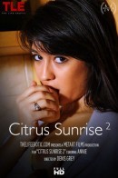 Annie in Citrus Sunrise 2 video from THELIFEEROTIC by Denis Gray