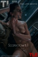 Laima R in Scarecrow Ii 1 gallery from THELIFEEROTIC by Paul Black