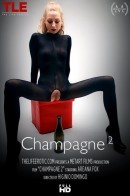 Areana Fox in Champagne 2 video from THELIFEEROTIC by Higinio Domingo