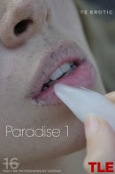 Tracy Bie in Paradise 1 gallery from THELIFEEROTIC by Xanthus
