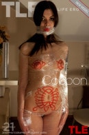 Zena in Cocoon gallery from THELIFEEROTIC by Albert Varin