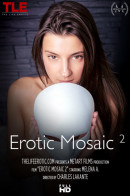 Erotic Mosaic 2