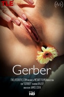 Kalisy in Gerber video from THELIFEEROTIC by James Cook
