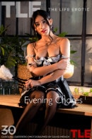 Carolina Guerrero in Evening Chores 1 gallery from THELIFEEROTIC by David Menich