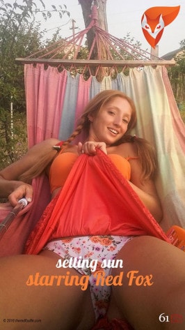 Red Fox  from THEREDFOXLIFE