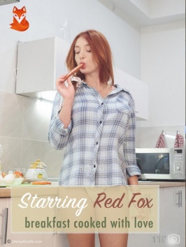 Red Fox  from THEREDFOXLIFE