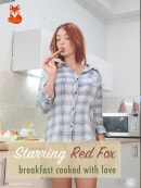 Red Fox in Breakfast with Love gallery from THEREDFOXLIFE