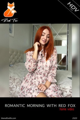 Red Fox  from THEREDFOXLIFE