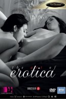 The Art of Erotica