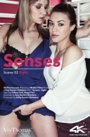 Senses Scene 2 - Sight