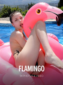 Milla in Flamingo gallery from WATCH4BEAUTY by Mark
