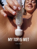 My Toy Is Wet
