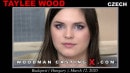 Taylee Wood Casting video from WOODMANCASTINGX by Pierre Woodman