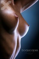 Nella in Bodyscapes gallery from X-ART by Brigham Field