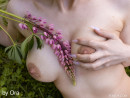 Liliy H in Lily's Debut gallery from FEMJOY by Ora - #10