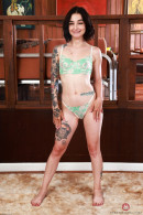 Stevie Moon in Babes gallery from ATKPETITES by GB Photography - #1
