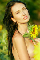 Izolda M in Izolda - Field Of Sunflowers gallery from STUNNING18 by Thierry Murrell - #6