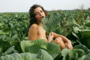 Roza A in Roza - Cabbage Field gallery from STUNNING18 by Thierry Murrell - #5