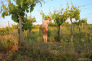 Amy Moloko in Vineyard View gallery from METART by Deltagamma - #4