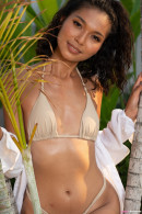 Rosah In Bikini Posing On The Palms gallery from TEENDREAMS - #10