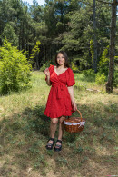 Picnic Outdoors With Sumiko gallery from TEENDREAMS - #2