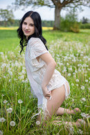 Sasha Jane in Dandelions gallery from METART by Tora Ness - #4