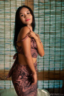 Namy Asian in Bamboo Blinds gallery from METART by Robert Graham - #1