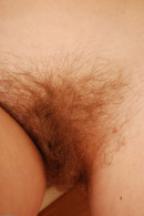 Rose in  gallery from ATKARCHIVES by Gypsy - #12