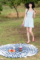 Amelia Riven in Naughty Picnic gallery from SEXART by Robert Graham - #11