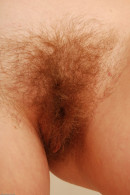 Rose in  gallery from ATKARCHIVES by Gypsy - #14