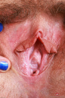 Jackie Hoff Is Enticing In Blue Lingerie gallery from ATKHAIRY by GB Photography - #5