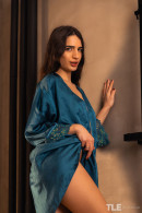 Candie Luciani in Steamy Pleasures 1 gallery from THELIFEEROTIC by David Menich - #12