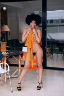 Selva Lapiedra in Citrus Delight gallery from METART-X by Vicente Silva - #2