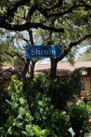 Josie Beall Shrubs R Us gallery from ZISHY by Zach Venice - #6