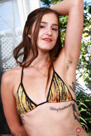 Violet Viper's Striped Bikini gallery from ATKHAIRY by GB Photography - #1