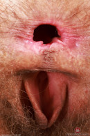 Sia Wood in Amateur gallery from ATKPETITES by GB Photography - #7