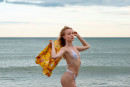 Dana Red in Sea And Sand gallery from METART by Tony G - #3